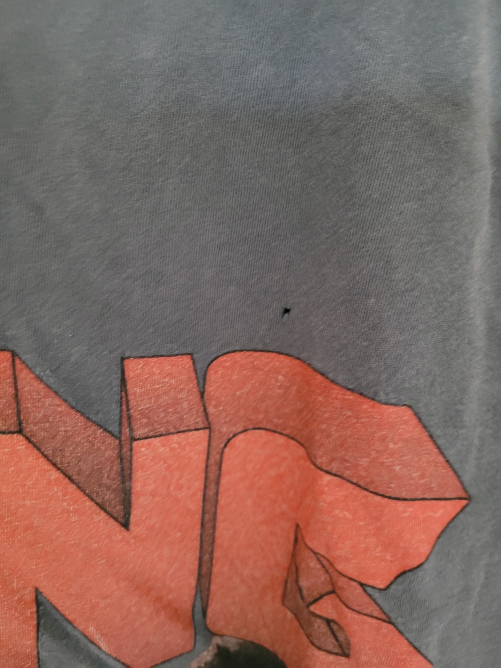 ANINE BING Graphic Eagle Tee in Charcoal with Rust Logo - Picture 5 of 8